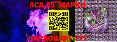 СК Кингисепп