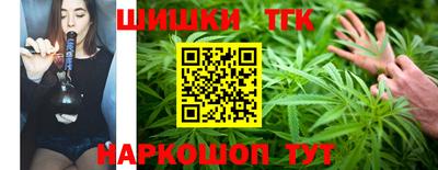 СК Кингисепп