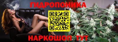 СК Кингисепп