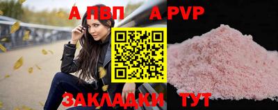 СК Кингисепп
