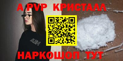 СК Кингисепп